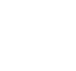 INDIGS CONSULTING
